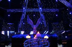 ����� ������ - ������ ������� ��������� ����