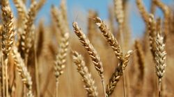 ������� ���� � ������� �����������