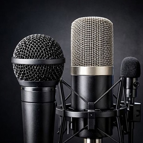 Микрофонные системы