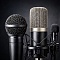 Микрофонные системы